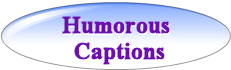 Humorous Captions